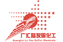 新疆廣匯陸友硫化工有限公司.png